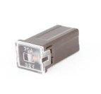 Mini Female Pal Fuses 70 amp